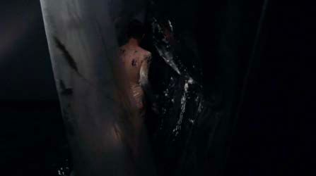 Katie O'Neill walking away from the viewer between two plastic sheets.